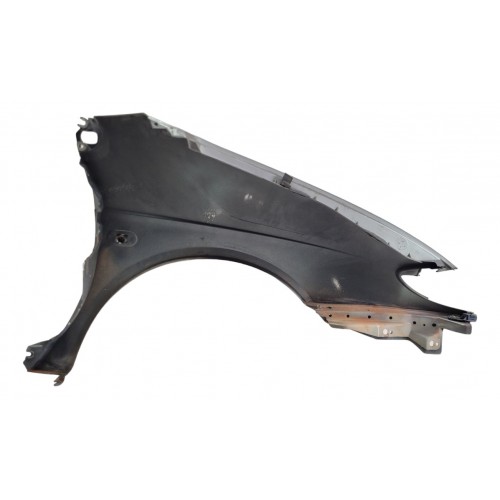 Paralama Lado Esquerdo Renault Scenic 1999 2000 2001