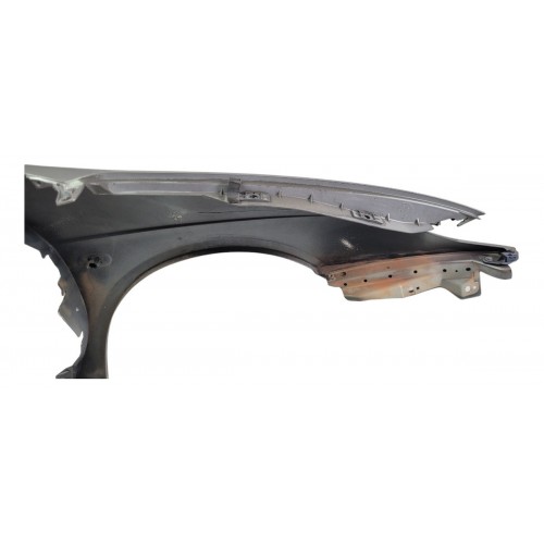 Paralama Lado Esquerdo Renault Scenic 1999 2000 2001