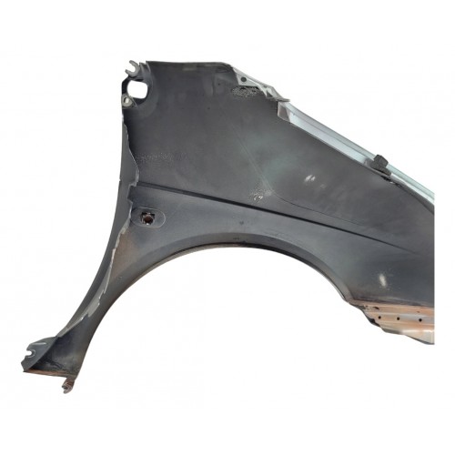 Paralama Lado Esquerdo Renault Scenic 1999 2000 2001