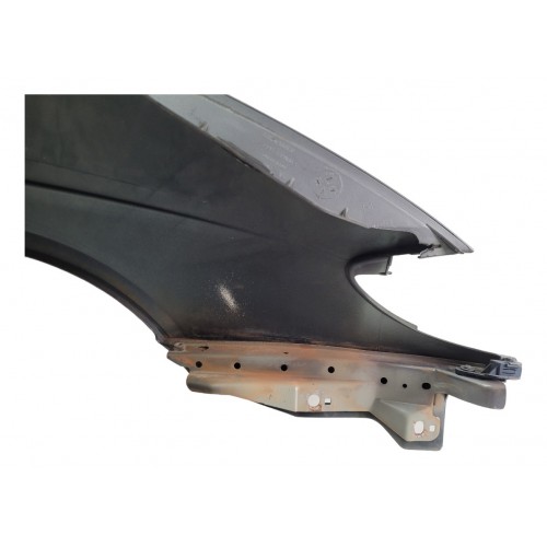 Paralama Lado Esquerdo Renault Scenic 1999 2000 2001